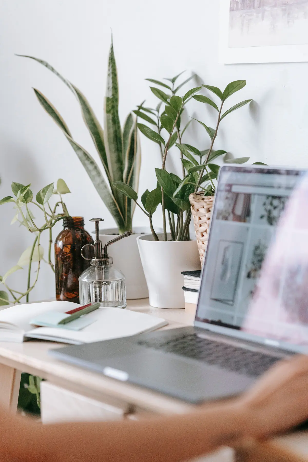 A laptop sitting on a dietitian's desk with plants and the browser open to her private practice's website.