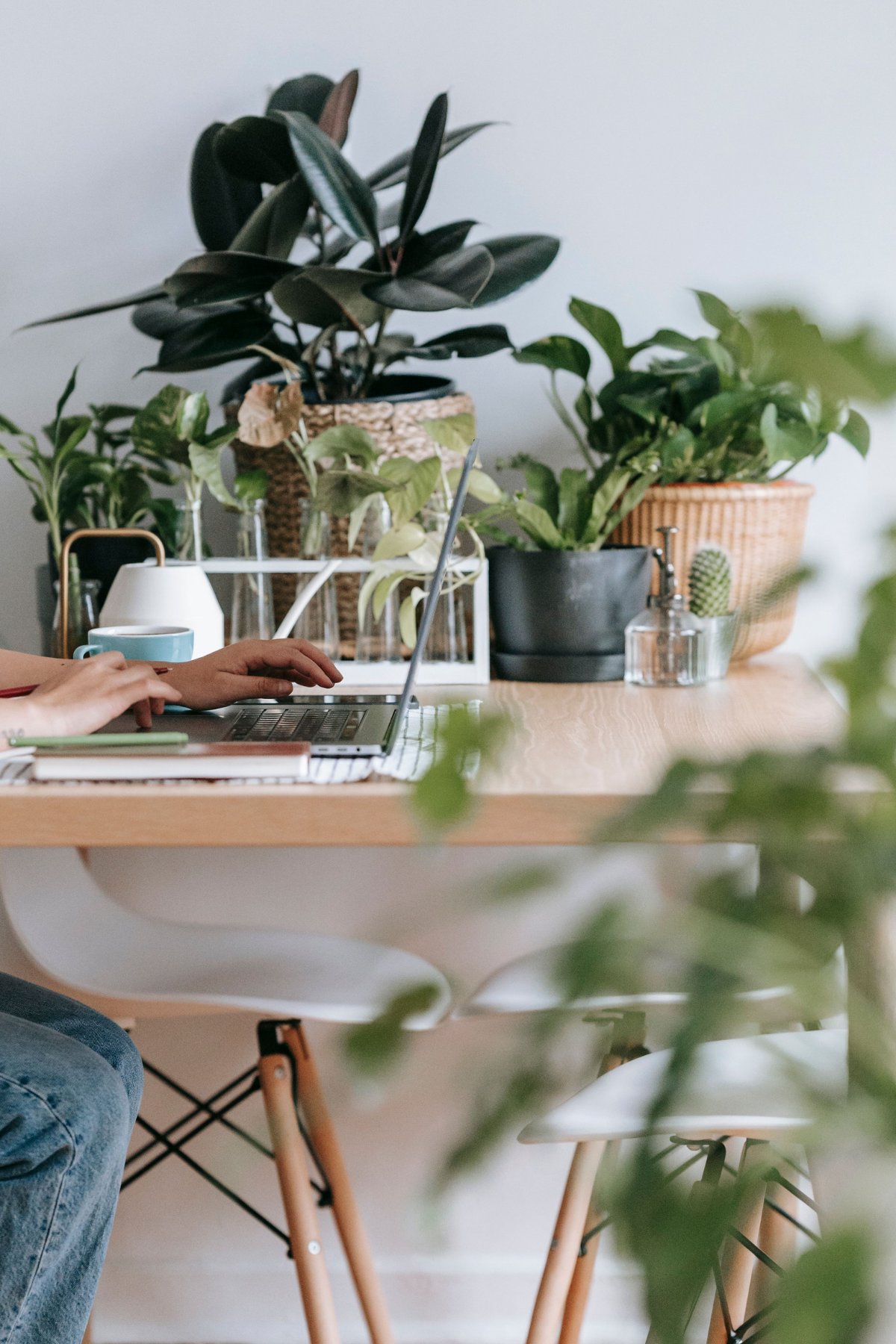 A female private practice owner working at her laptop on a desk with a bunch of plants